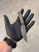 EDC- Mini Tantō High Carbon  (Coyote)