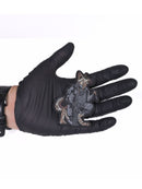 Patch Linha EDC - Cão Pastor