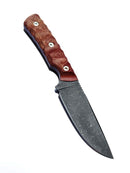 EDC - Carbon (Coyote)